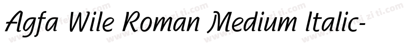 Agfa Wile Roman Medium ltalic字体转换